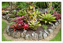 Totara Waters Sub-Tropical Garden - Garden Stay Accommodation