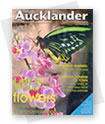 The Aucklander Community Publication